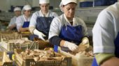 Seis empresas de Huelva se beneficiarán de estas subvenciones.