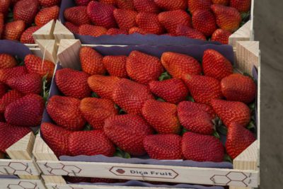 Dica Fruit comercializa fresas de máxima calidad. (Foto: Paco Gil).