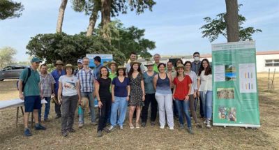grupo de investigación en olivar de secano