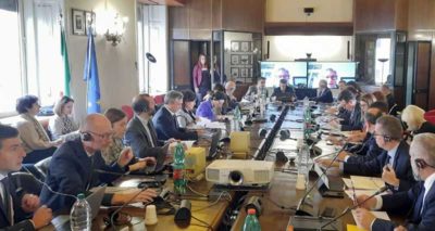 reunión viñedo