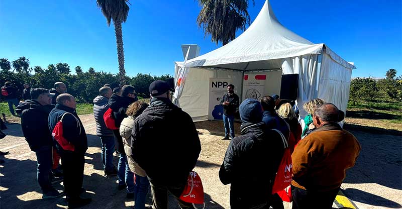 UPL Iberia Syllit® Max