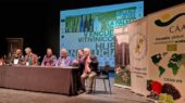 encuentro vinícola de la Palma del Condado