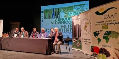 encuentro vinícola de la Palma del Condado