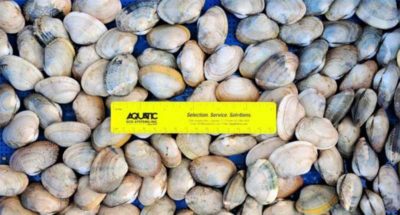 ifapa cultivo moluscos