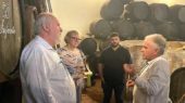 vinos condado de Huelva