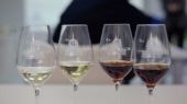 ADH vinos y vinagres condado de huelva