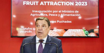 ADH FA planas