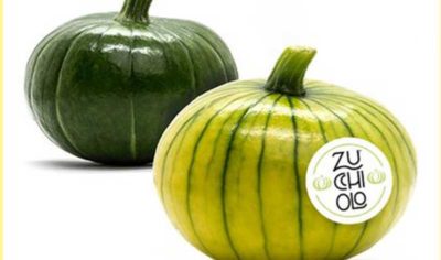 Fruit Logistica