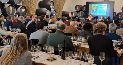 cata vino jerez