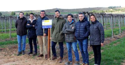 proyecto ‘Algavid’