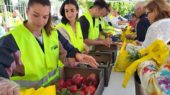 reparto productos del campo