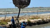 pesca de esstero