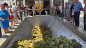 vino chucena