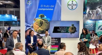 bayer