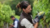 agricultora