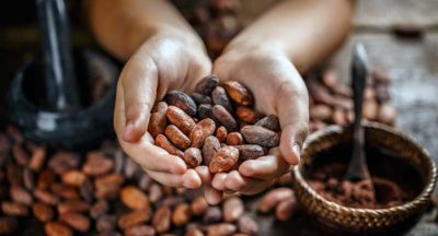 cacao