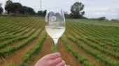 vinos condado de Huelva