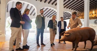 jabugo cerdo ibérico