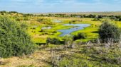 Doñana