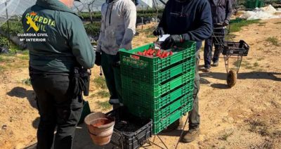guardia civil en fincas agrícolas
