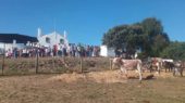 huerto ramírez
