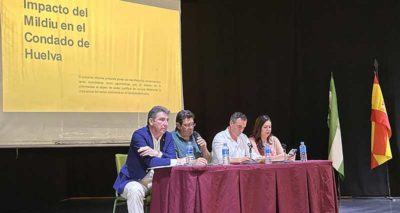 mildiu en el condado de Huelva