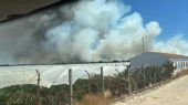 incendio Las maldivas