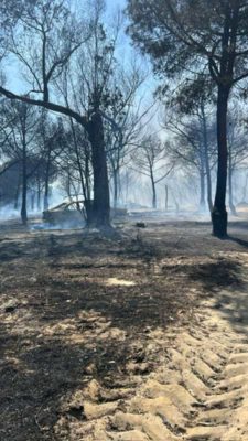 incendio Las maldivas