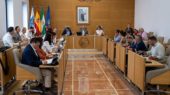 pleno diputación de Huelva