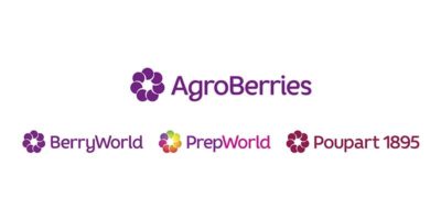 grupo AgroBerries