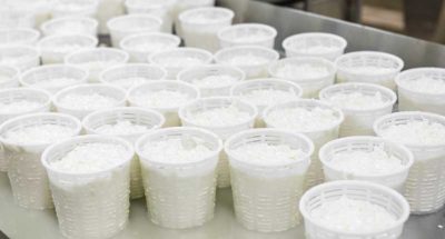 queso de burgos