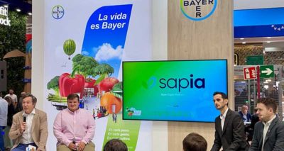 bayer