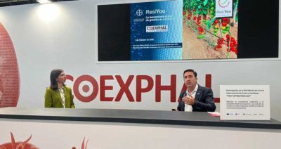 bayer y coexphal en FA