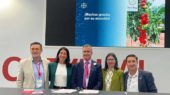 bayer y coexphal en FA