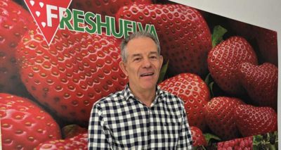 rafael domínguez freshuelva