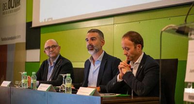 aforo del olivar en Andalucía